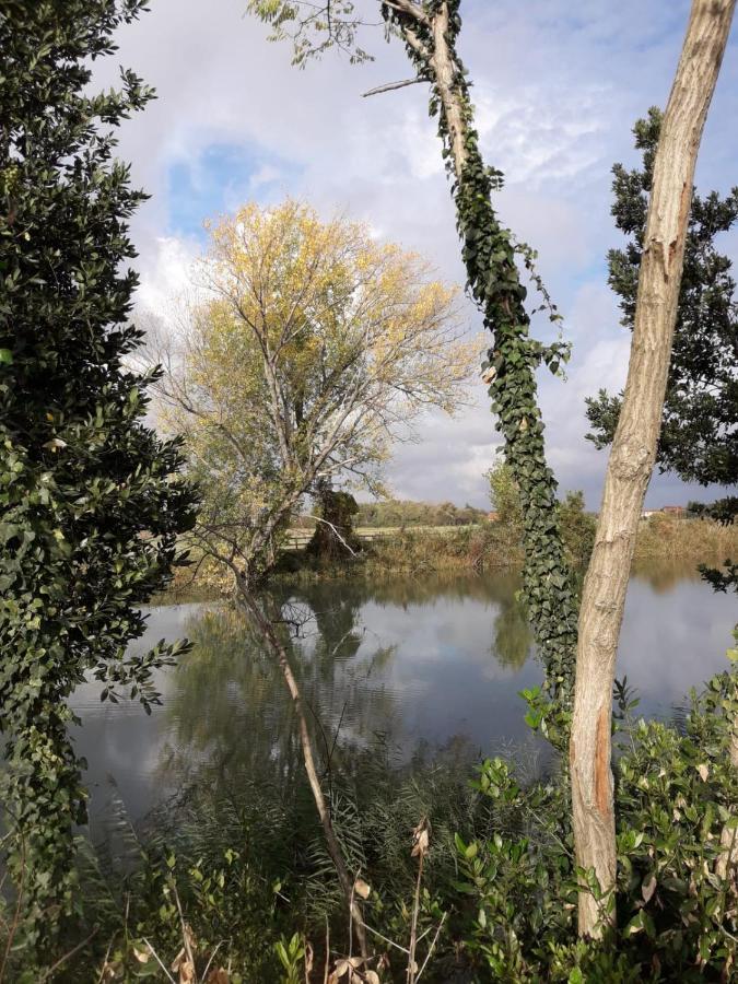 Tenuta Crescentini-Vallemura ,Appartamenti Con Entrata Indipendente San Donà di Piave Exterior foto