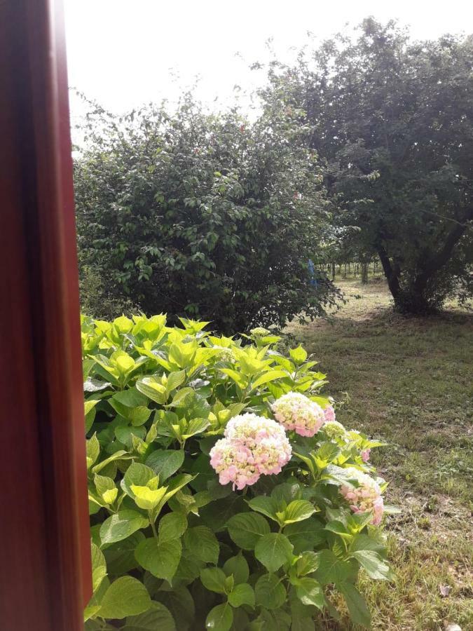 Tenuta Crescentini-Vallemura ,Appartamenti Con Entrata Indipendente San Donà di Piave Exterior foto