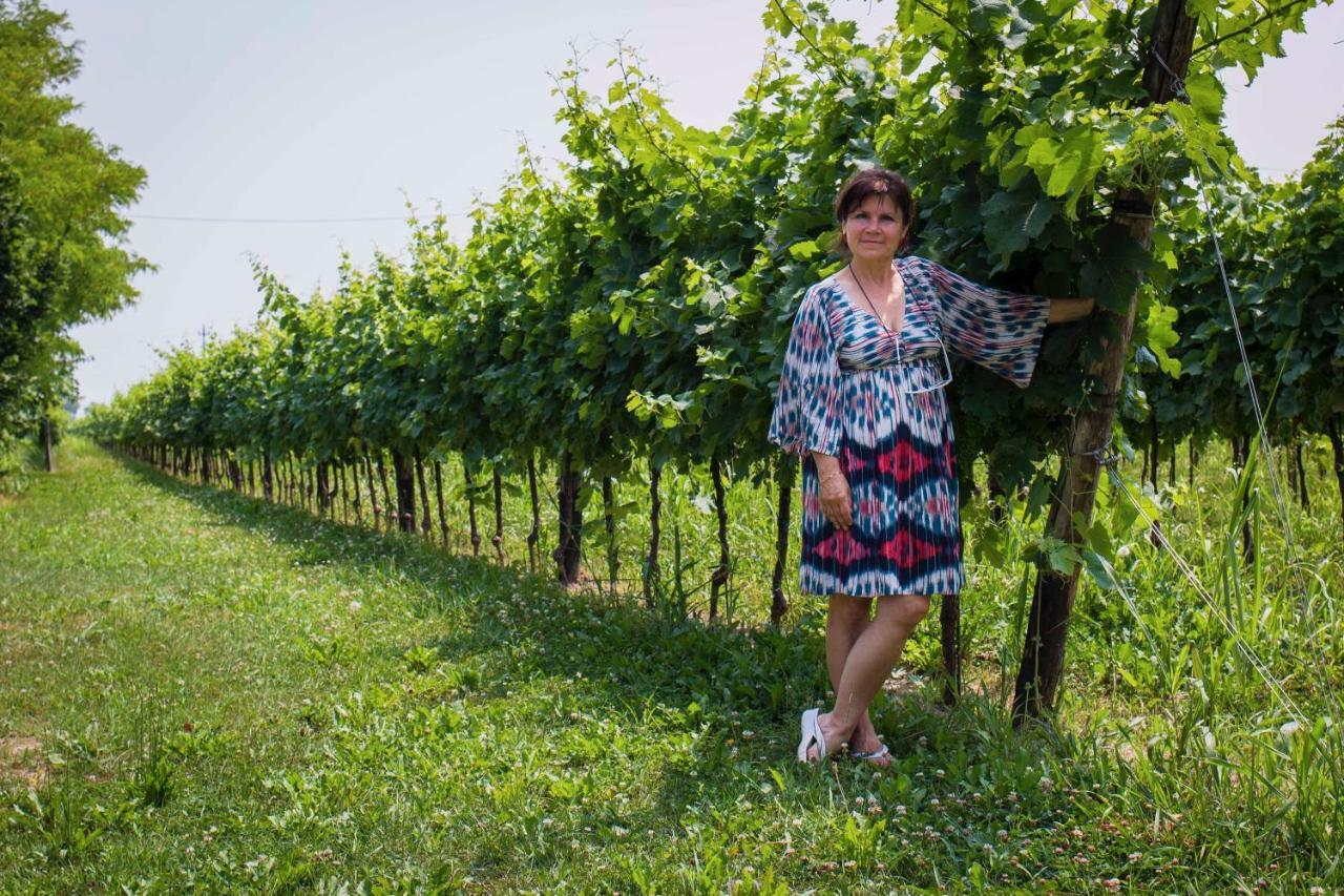 Tenuta Crescentini-Vallemura ,Appartamenti Con Entrata Indipendente San Donà di Piave Exterior foto